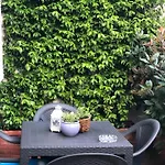 Simona Comfort & Relax
