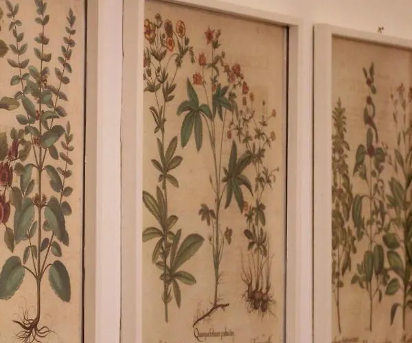 아파트 Simona Comfort & Relax *