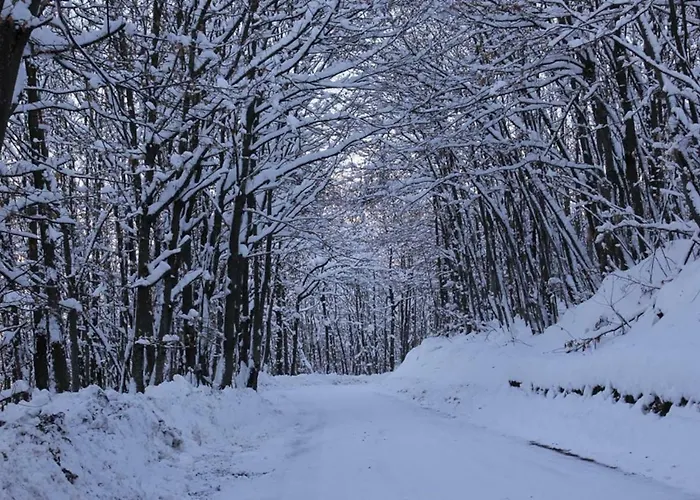 Simona Comfort E Relax Tra Bologna E Firenze 8 Min A1