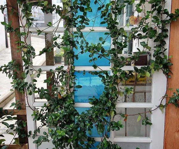 Simona Comfort & Relax *